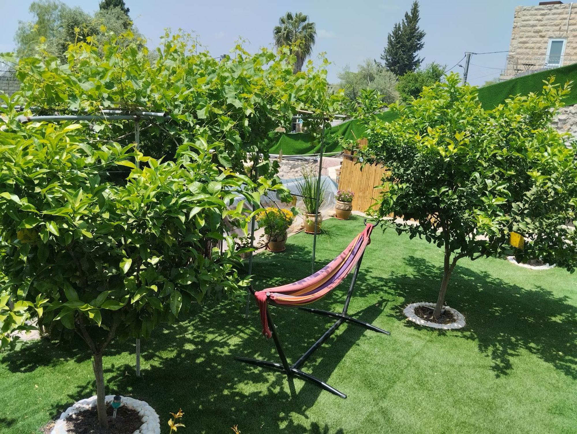 קסם עין כרם Apartamento Jerusalém Exterior foto